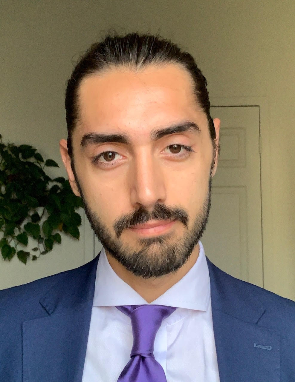 omid-iravanipour-paykanartcar